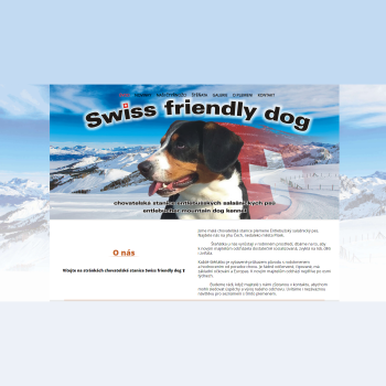 Swiss Friendly Dog